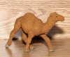 Cinnamon Camel