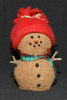 cinnamon Snowman with ski hat