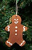 Solid Cinnamon Gingerbread Kid sm